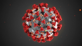 Coronavirus: Garante Privacy, no a iniziative “fai da te” nella raccolta dei dati
